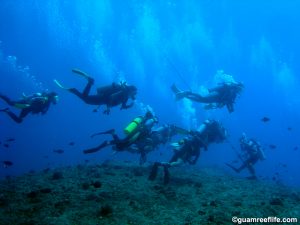 A large group of divers at the popular "Blue Hole" dive site