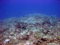 Adelup Pt seaward slope deep 05