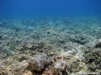 Adelup Pt submarine terrace 02