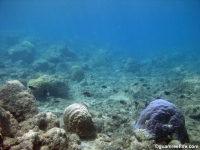 Agat Bay channel 01