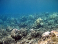 Agat Bay channel 02
