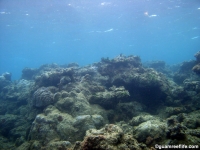 Agat Bay channel 03