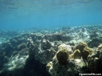 Agat Bay channel 04