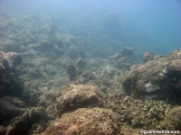 Agat Bay seaward slope 01