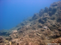 Agat Bay seaward slope 02
