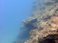 Agat Bay seaward slope 03