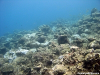 Agat Bay seaward slope 04