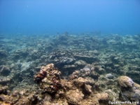 Agat Bay seaward slope 05