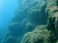 Agat Bay seaward slope 06