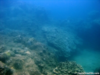 Agat Bay seaward slope 08