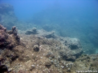 Agat Bay seaward slope 10