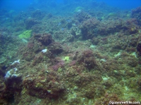 Agat cemetery channel north 02