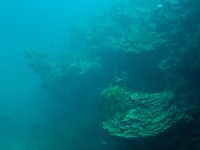 Agat cemetery forereef south 18