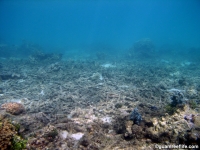 Agat marina reef holes 01