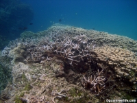 Agat marina reef holes 02