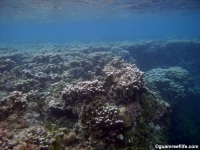 Agat marina reef holes 03