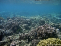 Agat marina reef holes 04