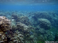 Agat marina reef holes 05