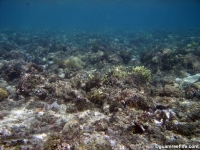 Agat marina reef holes 06