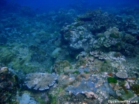Agfayan Bay Bear Rock 01