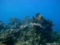 Agfayan Bay Bear Rock 03