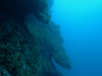 Agfayan Bay Bear Rock 06