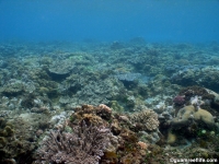 Agfayan Bay Bear Rock 09