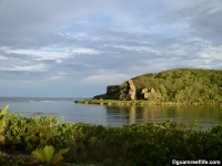 Agfayan Bay Bear Rock 10