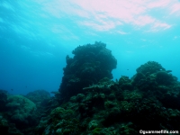Agfayan Bay Bear Rock 11