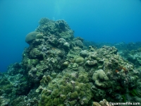 Agfayan Bay Bear Rock 13