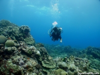 Agfayan Bay Bear Rock 14