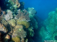 Agfayan Bay Bear Rock 17