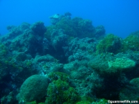 Agfayan Bay Bear Rock 21