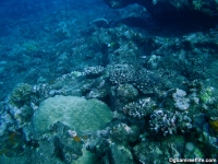 Agfayan Bay Bear Rock 23