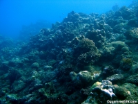 Agfayan Bay Bear Rock 25