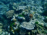 Agfayan Bay Bear Rock 28