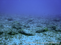 2009 MARAMP Site 54 02