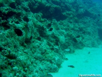 Ague Cove to Haputo 07