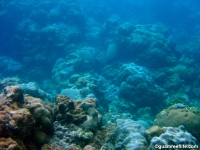 Ague Cove to Haputo 12