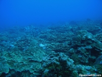 Alupang seaward slope 09