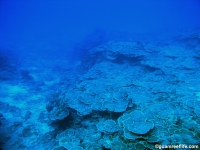 Alupang seaward slope 13