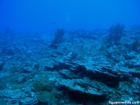 Alupang seaward slope 14