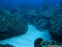 Alupang submarine terrace 01