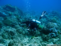 Alupang submarine terrace 03