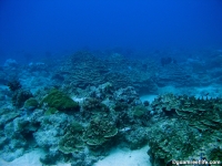 Alupang submarine terrace 05