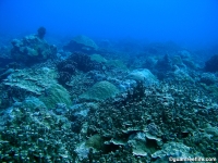 Alupang submarine terrace 10
