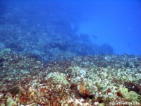 Amphitheater 07