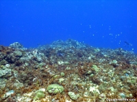 Amphitheater 08