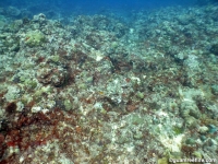 Amphitheater 10