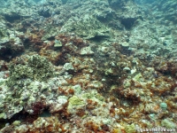 Amphitheater 11
